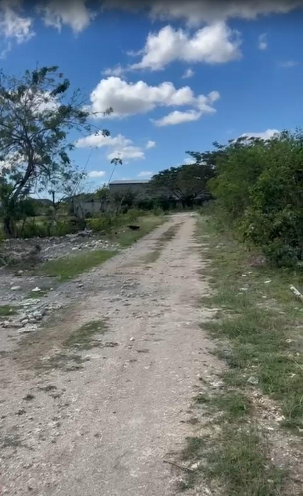solares y terrenos - Se Alquila AMPLIO solar en Yaguate, 3155 Mt2