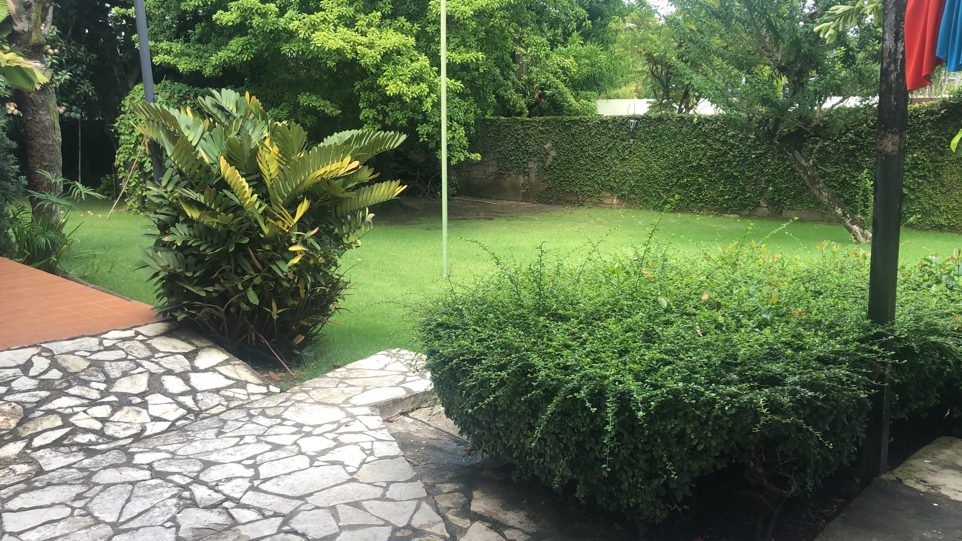 casas - Vendo alameda  6
