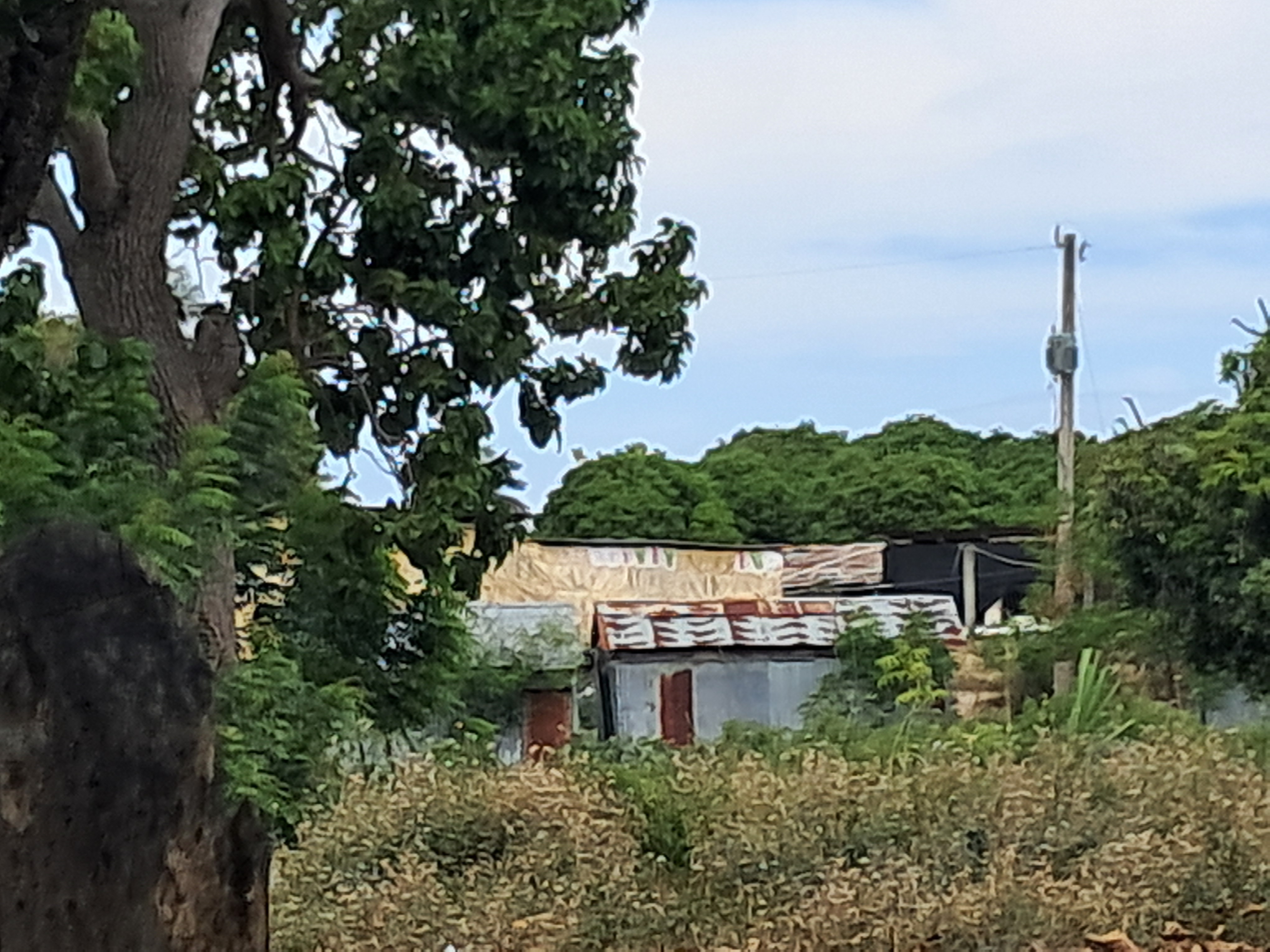 solares y terrenos - APROVECHA EN MATANZAS BANI 55 TAREAS . 1
