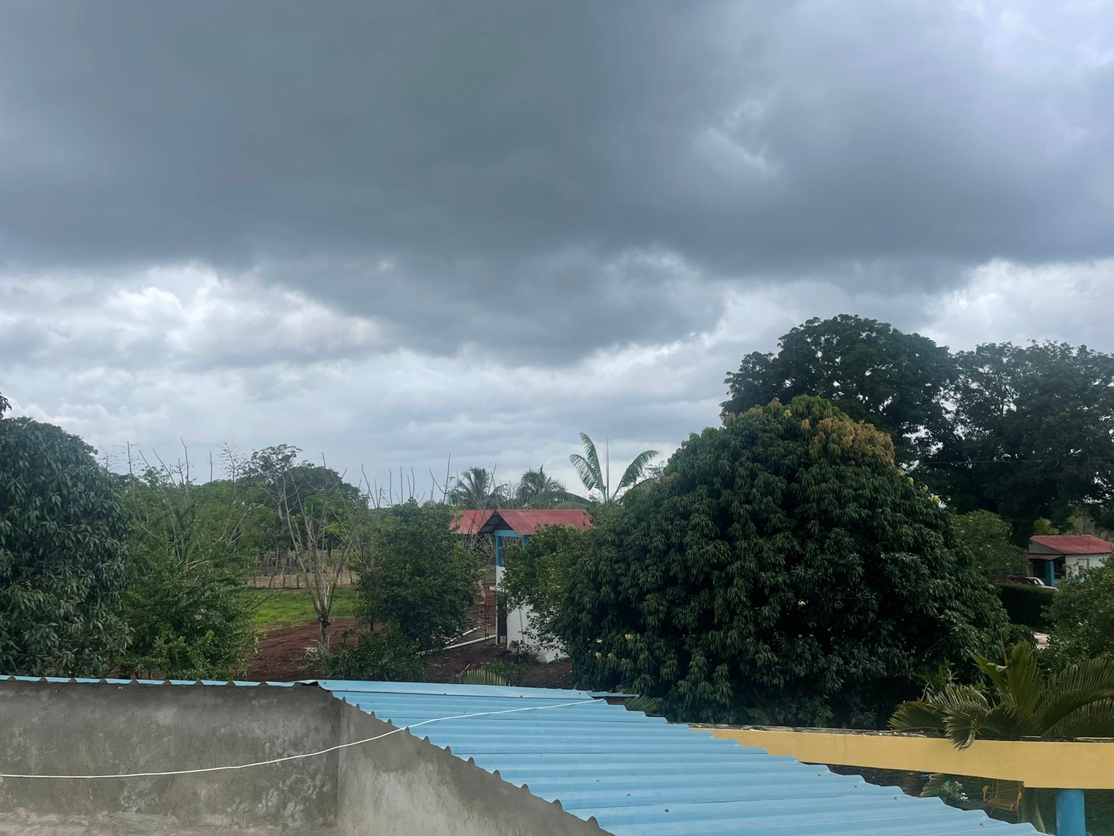 solares y terrenos - Finca Ganadera en Bayaguana de 855 tareas  1