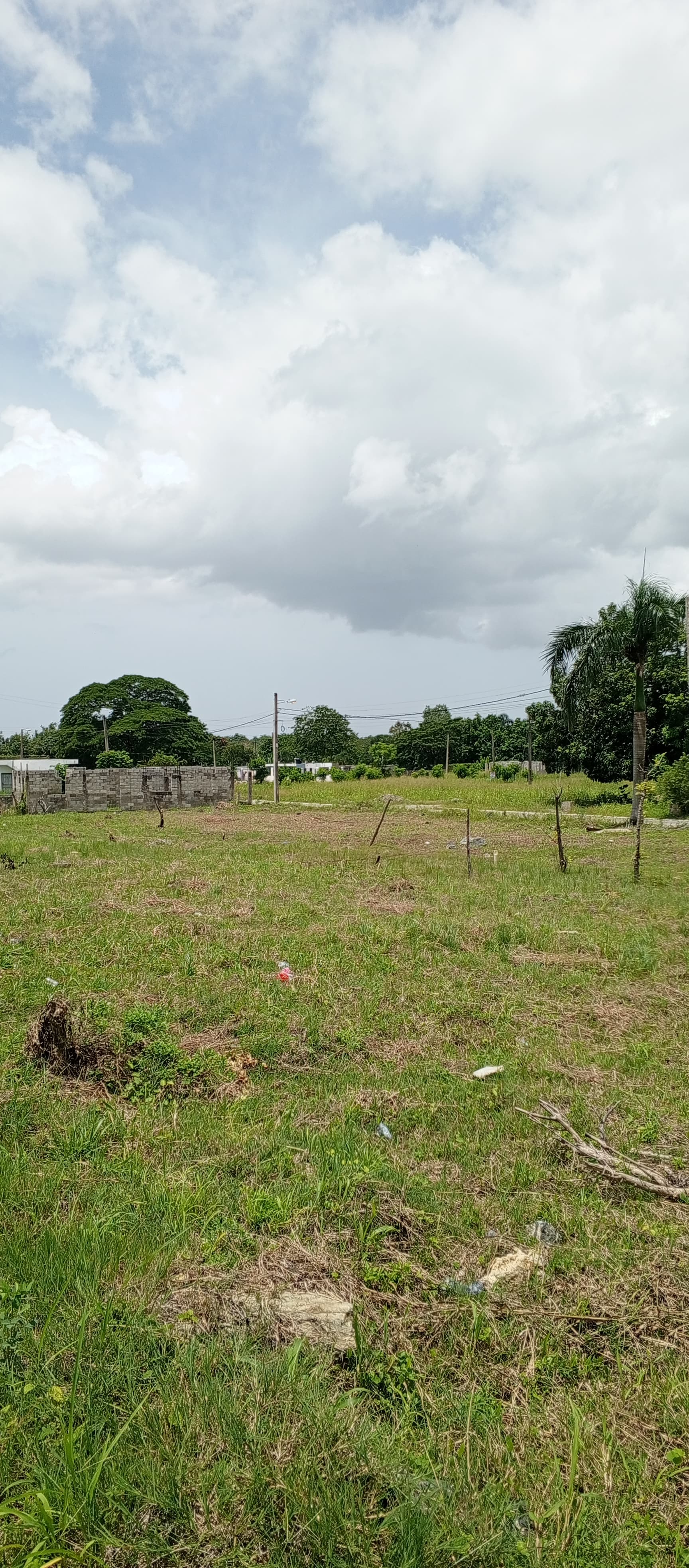 solares y terrenos - Solares en Venta - Con sus titulos - Desde 151m 0