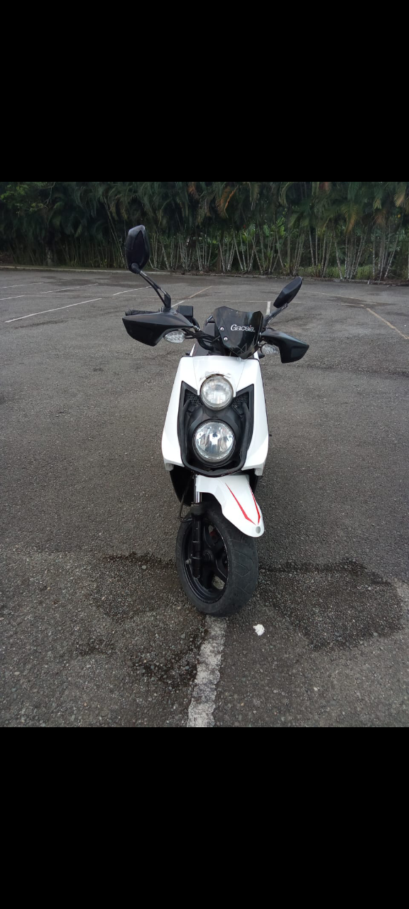 motores y pasolas - Passola  4