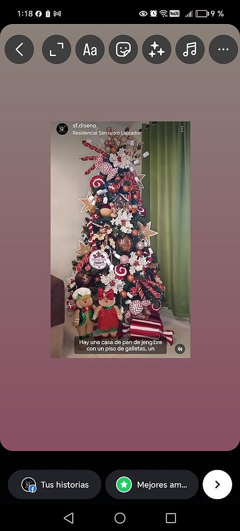 servicios profesionales - Alquiler de Arbol de Navidad  2