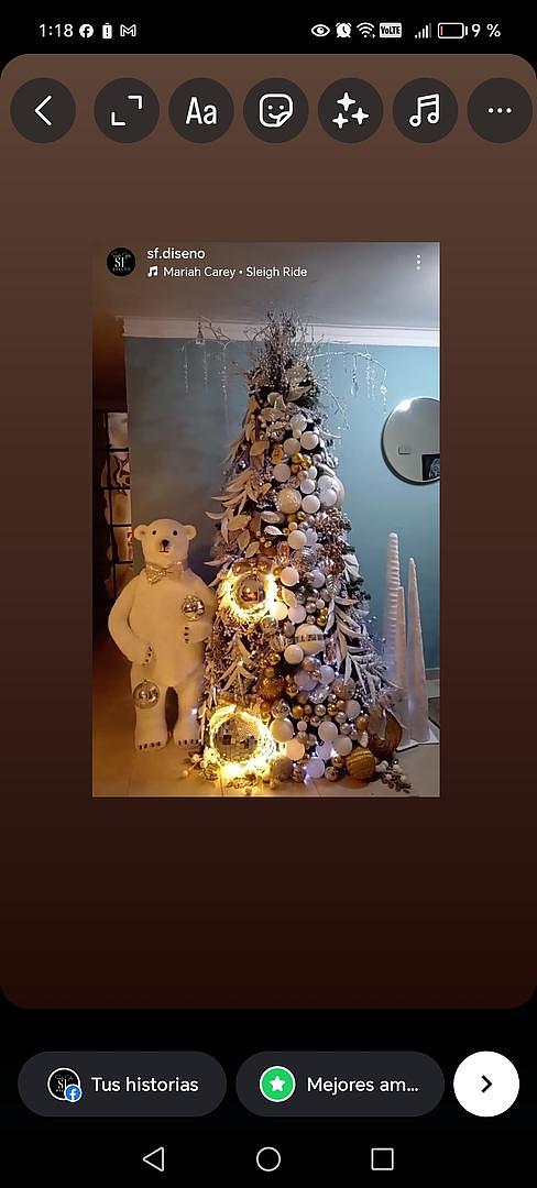 servicios profesionales - Alquiler de Arbol de Navidad  3
