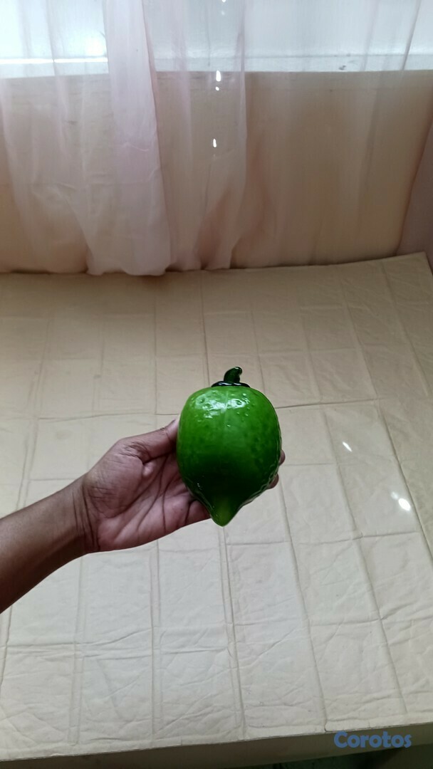 cocina - Liquidacion de Cristalería y loza 35 piezas 10