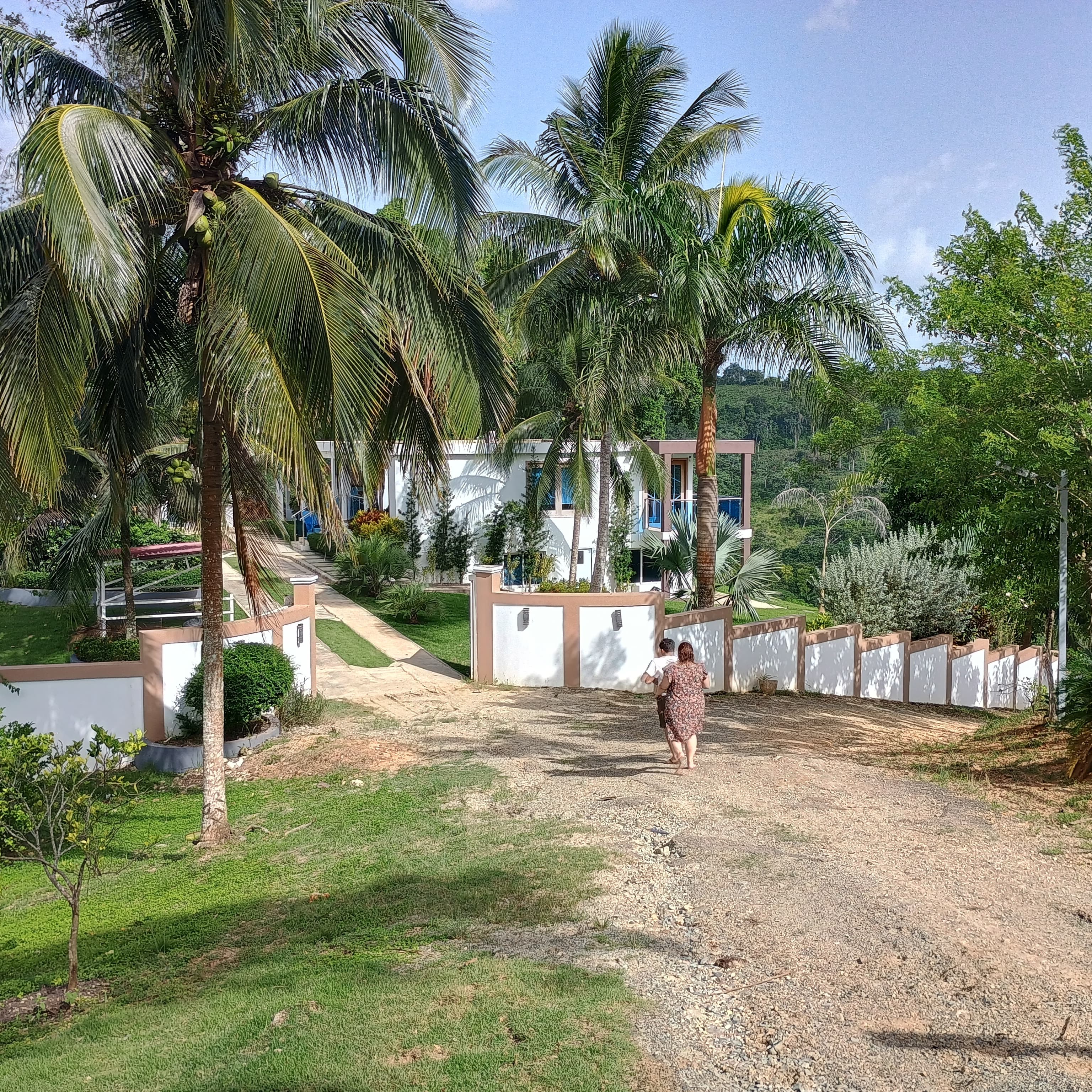 solares y terrenos - Fincas desde 2,500 metros, con rio, en Monte Plata 7