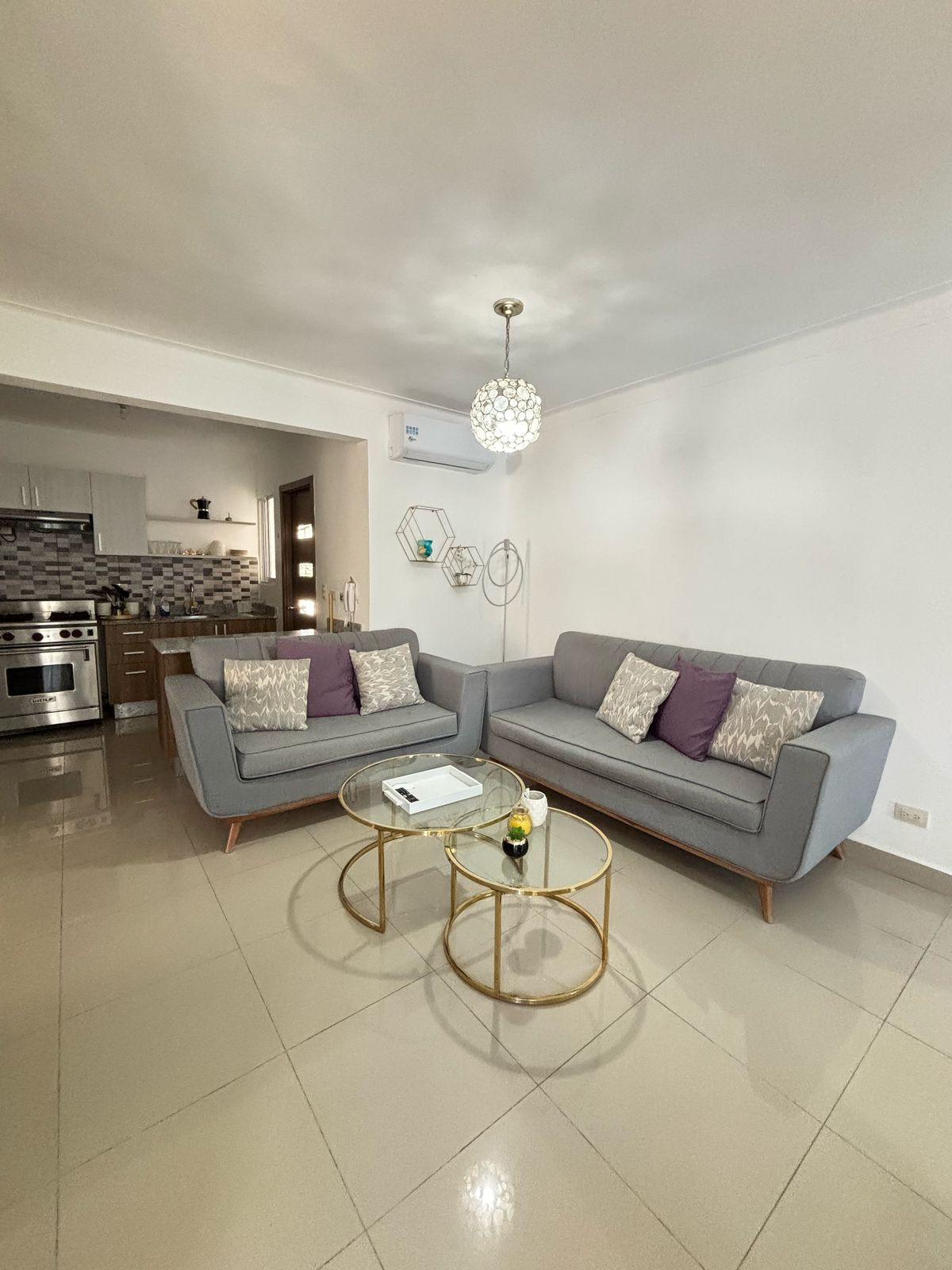 apartamentos - RENTO APARTAMENTO AMUEBLADO DE OPORTUNIDAD 2