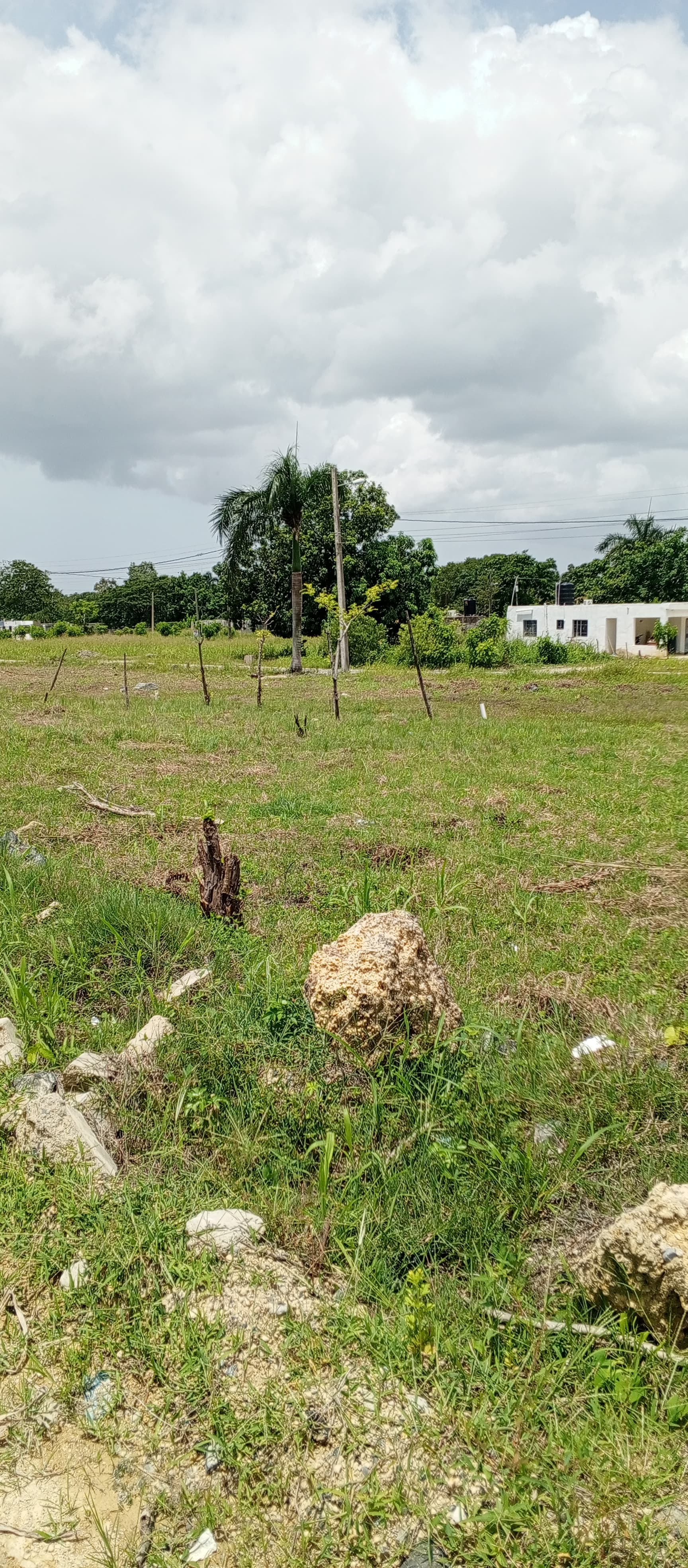 solares y terrenos - Solares en Venta - Con sus titulos - Desde 151m 2
