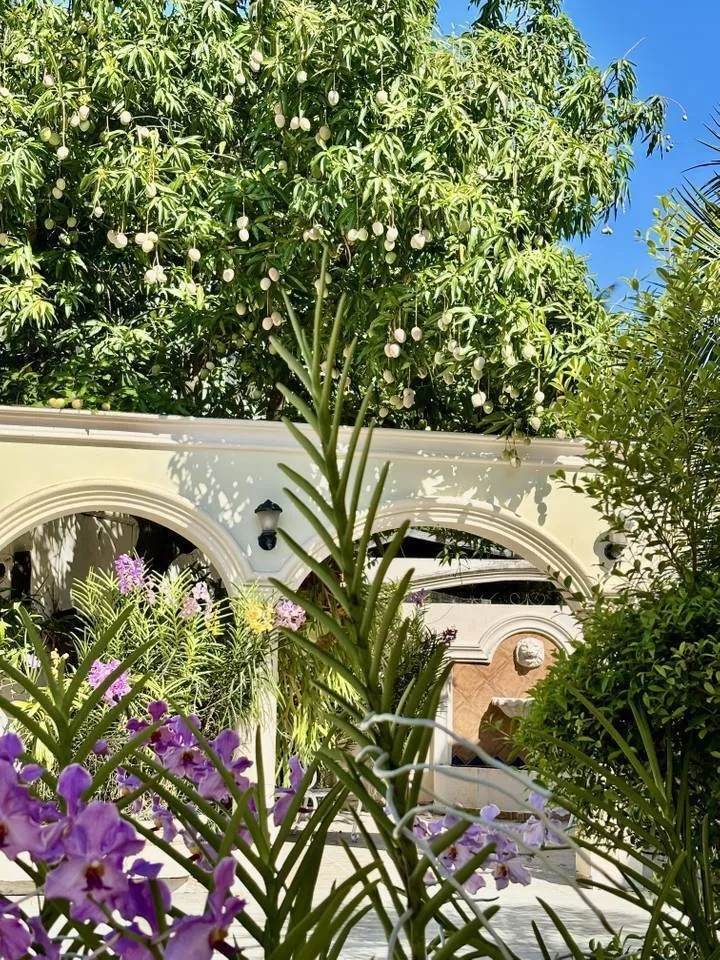 casas - Venta de Casa en Los Pinos 5