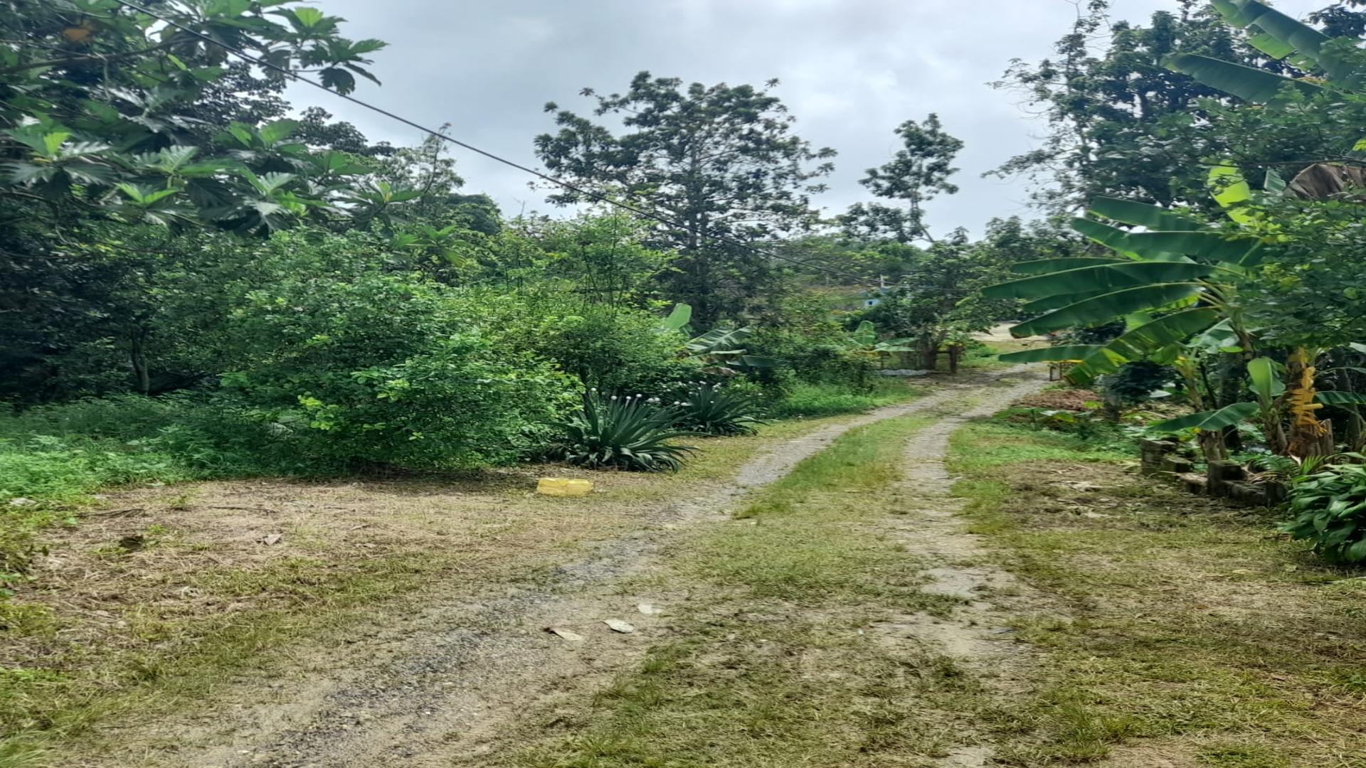 casas - VENDO Finca en Villa Mella + Casa 250 m2 7