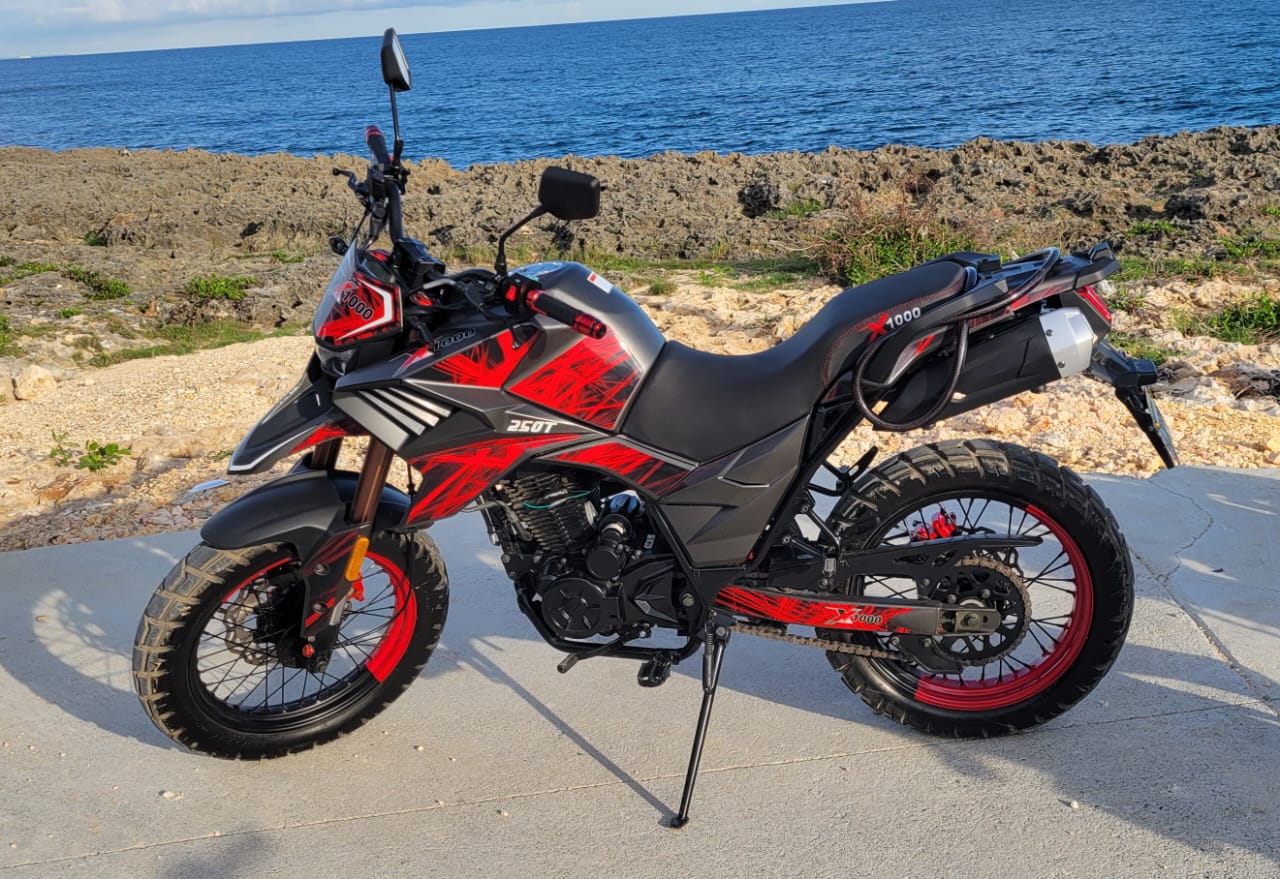 motores y pasolas - Motor x1000 250t