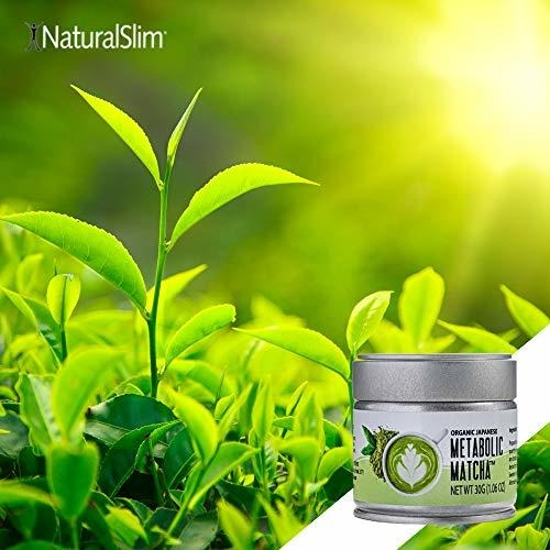 Salud y Equipamiento Médico - Polvo De Te Verde Matcha Metabolico Naturalslim - Metabolism 4
