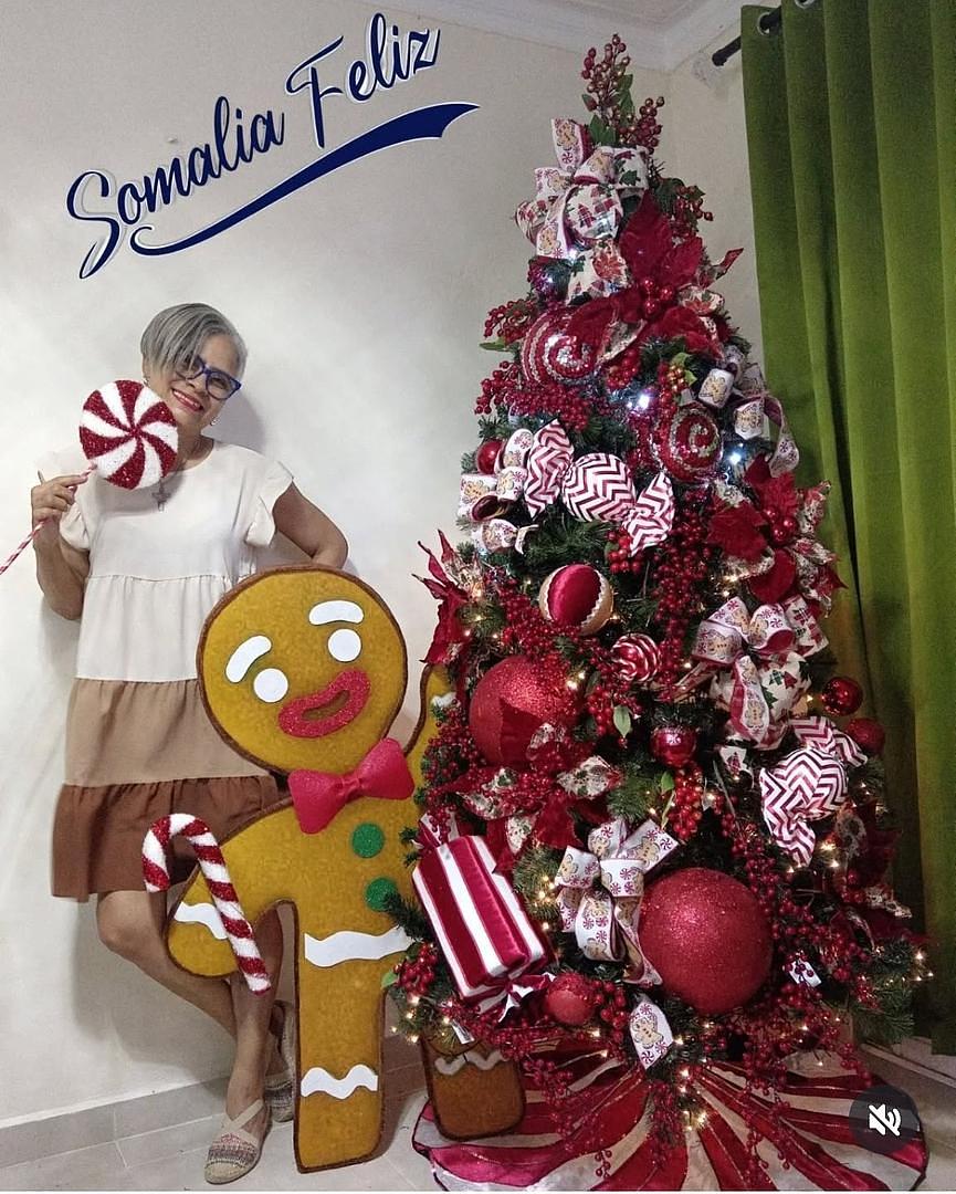 servicios profesionales - Alquiler de Arbol de Navidad  4