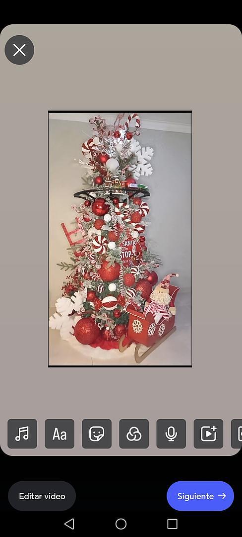 servicios profesionales - Alquiler de Arbol de Navidad  5
