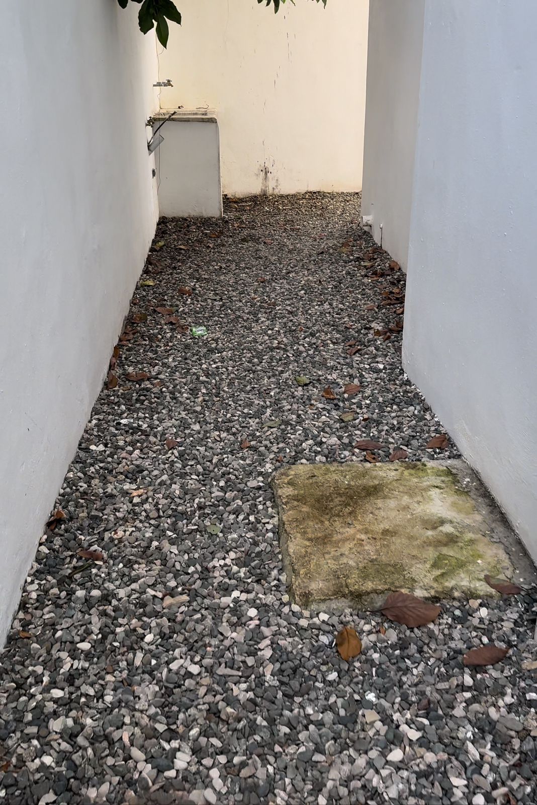 apartamentos - apartamentos prado oriental en venta 1552 5