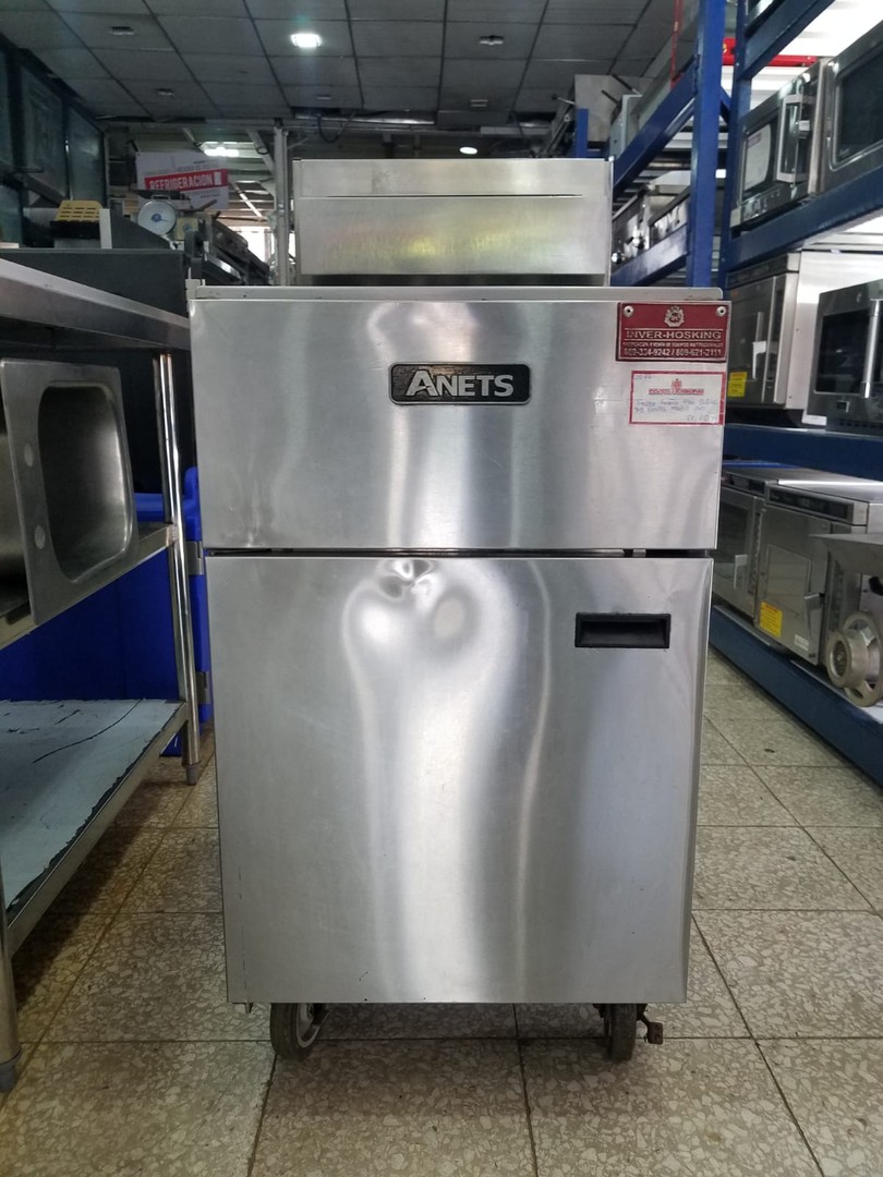 servicios profesionales - Anets, Freidor Industrial  0