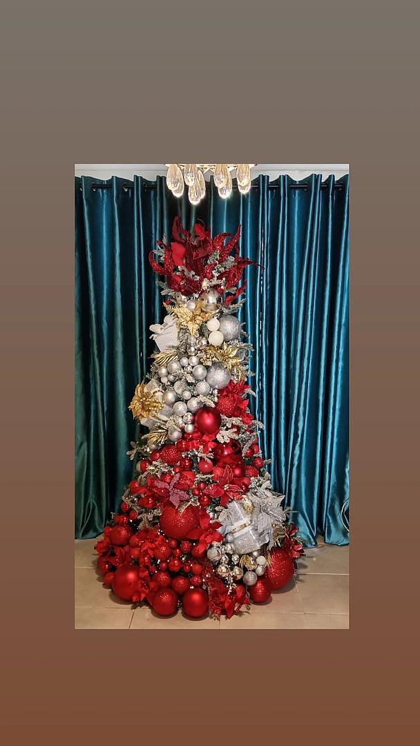 servicios profesionales - Alquiler de Arbol de Navidad  6