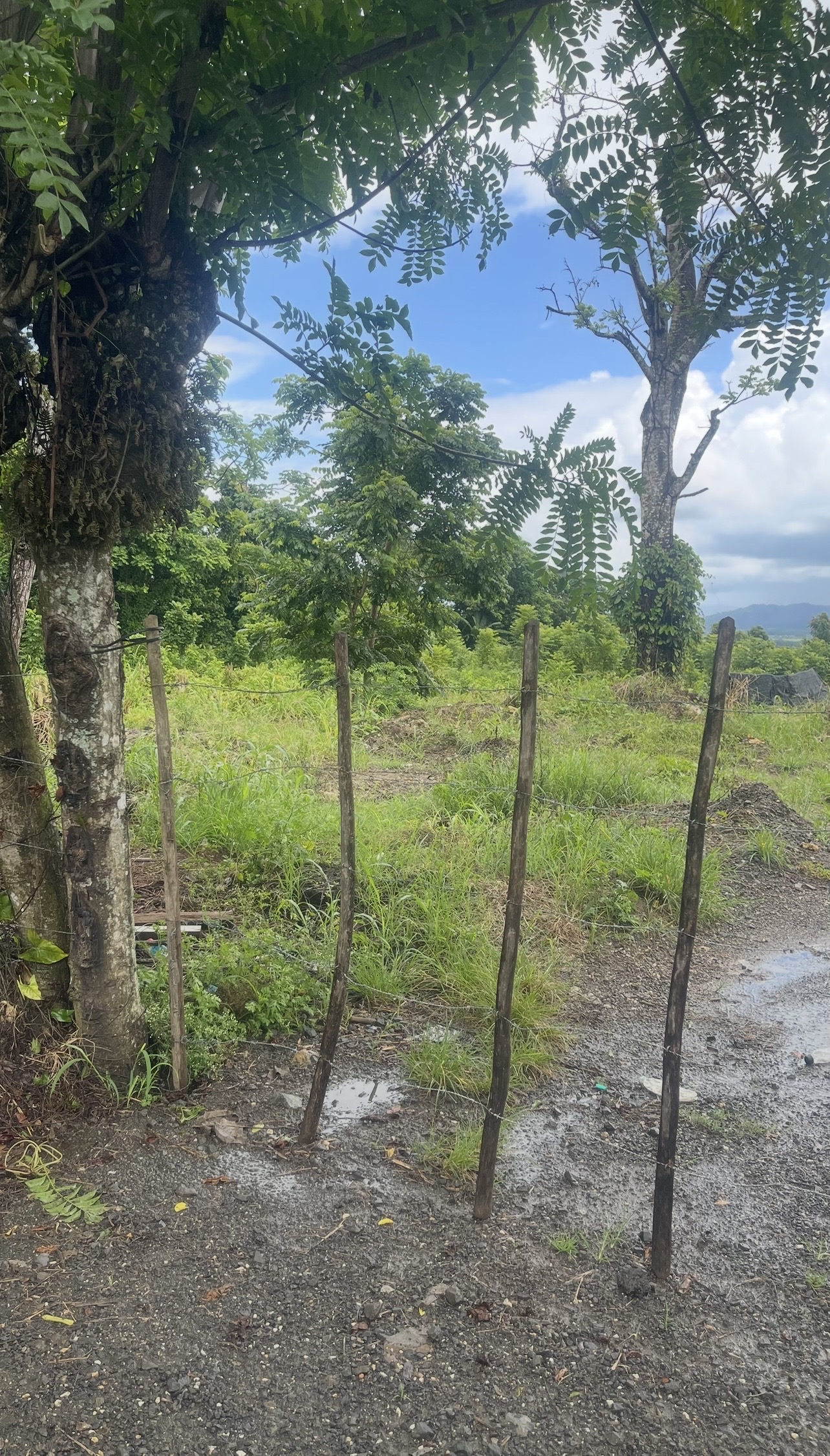 solares y terrenos - Terreno En Venta 65,401.40 M2 En El Valle 1