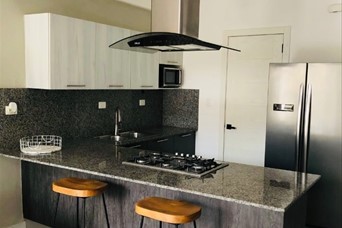 apartamentos - Alquilo tipo loft amueblado en Evaristo Morales  1