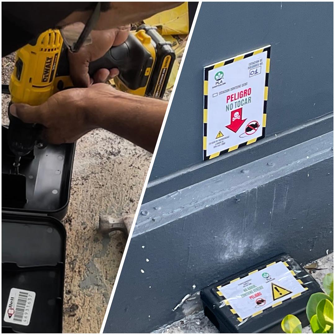 servicios profesionales - 🚫🐀 Fumigacion y control de plagas 24/7 🏠 Santo Domingo – ¡Llámanos ya!