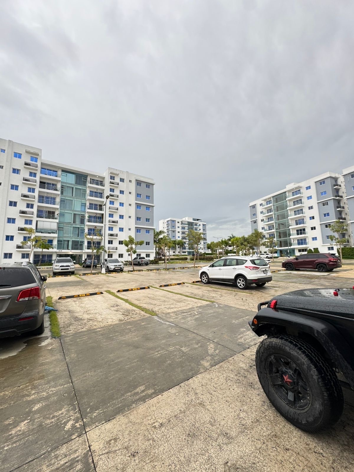 apartamentos - Alquilo en Cerro Alto 1