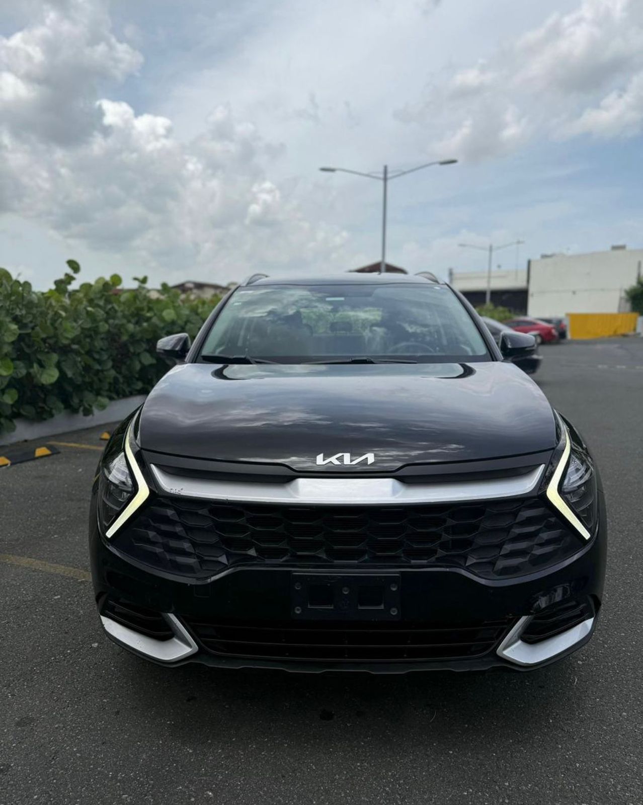 jeepetas y camionetas - kia sportage 2024 0