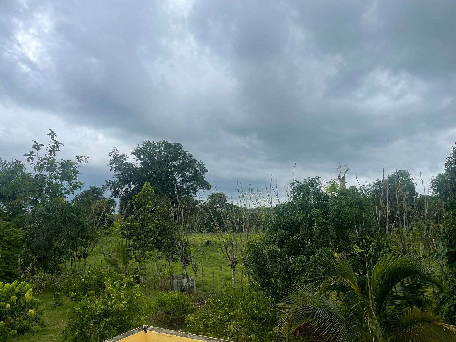 solares y terrenos - Finca Ganadera en Bayaguana de 855 tareas  6