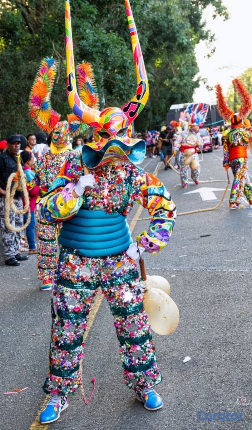 ropa para hombre - Completo Disfraz de Lechón Hermoso  1