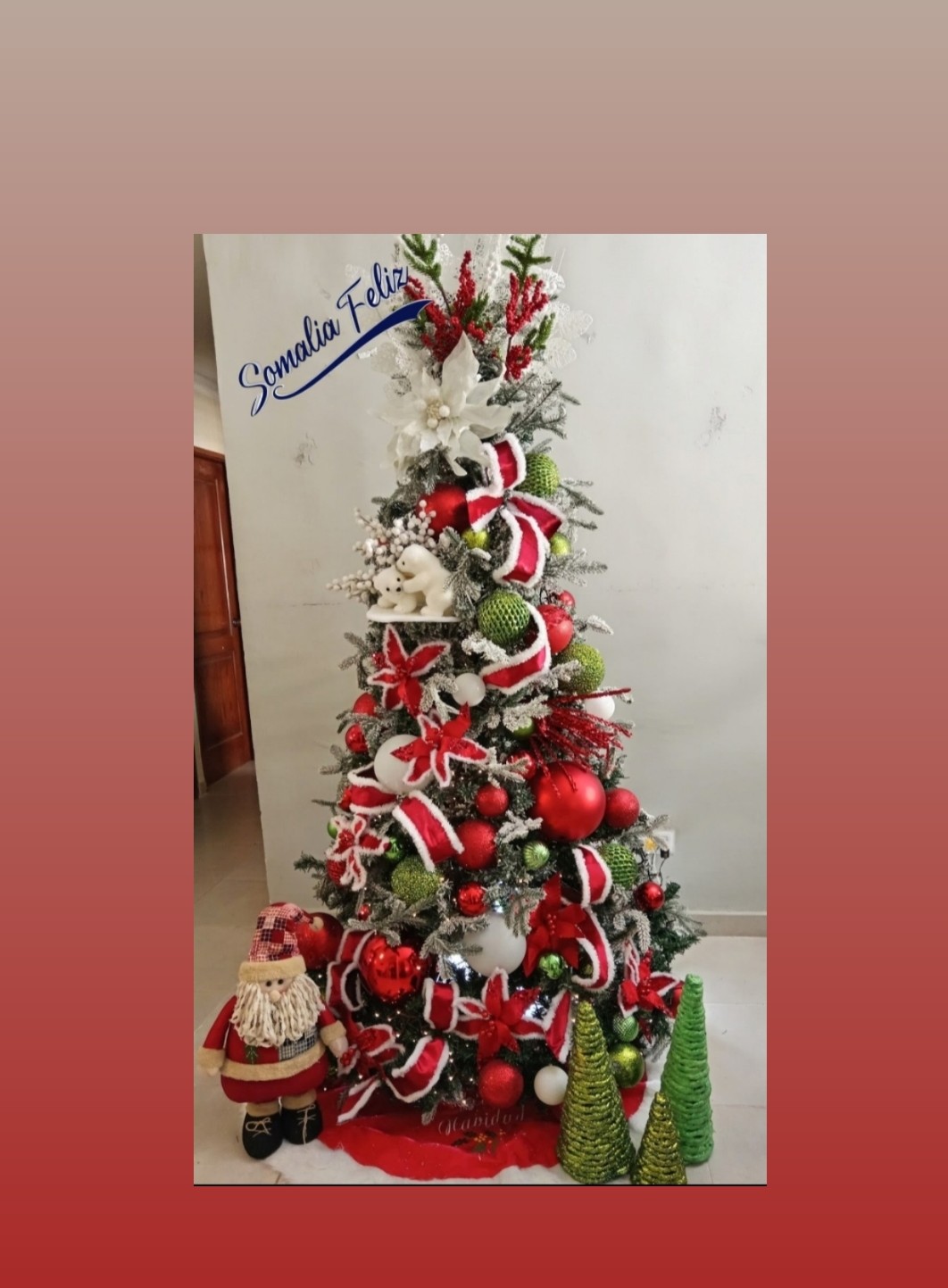 servicios profesionales - Alquiler de Arbol de Navidad  7