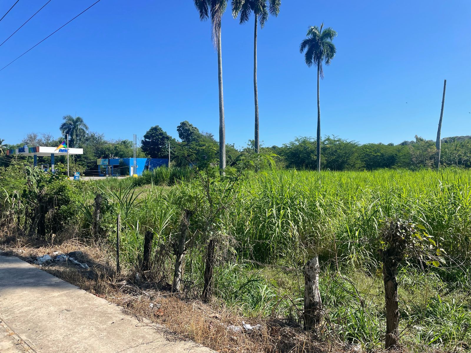 solares y terrenos - Se vende finca en Puerto plata de 4,929 de tareas 1