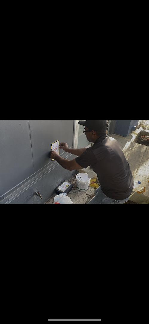 servicios profesionales - 🚫🐀 Fumigacion y control de plagas 24/7 🏠 Santo Domingo – ¡Llámanos ya! 1