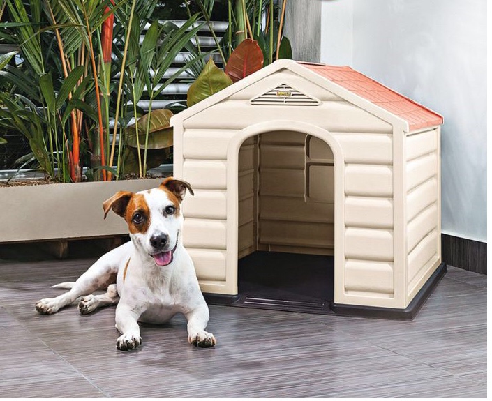 animales y mascotas - Casa 🏠 Para Perros 🐕 🐶 RimaxRaza grande-Medina y pequeña  2