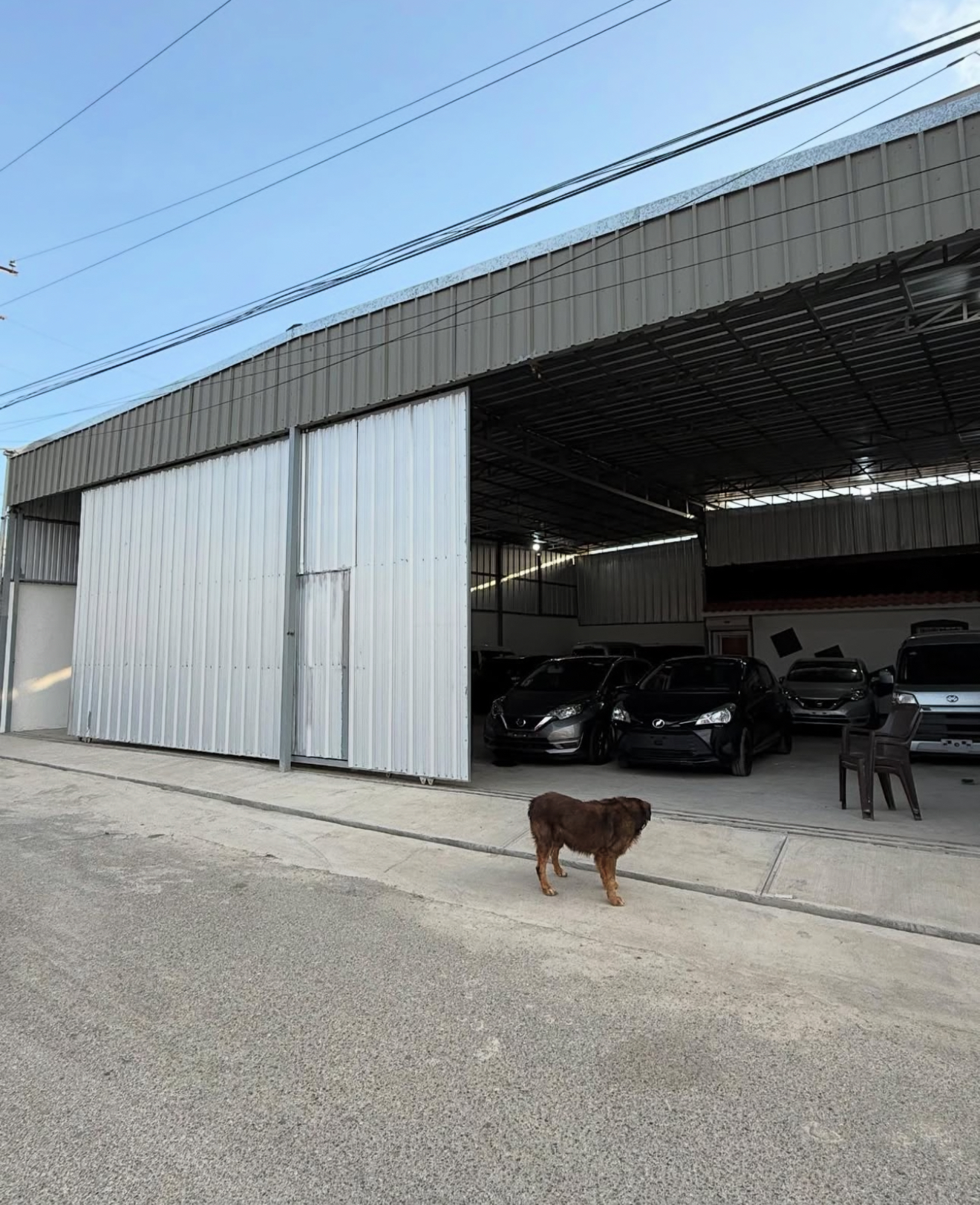 oficinas y locales comerciales - Alquiler de nave  6
