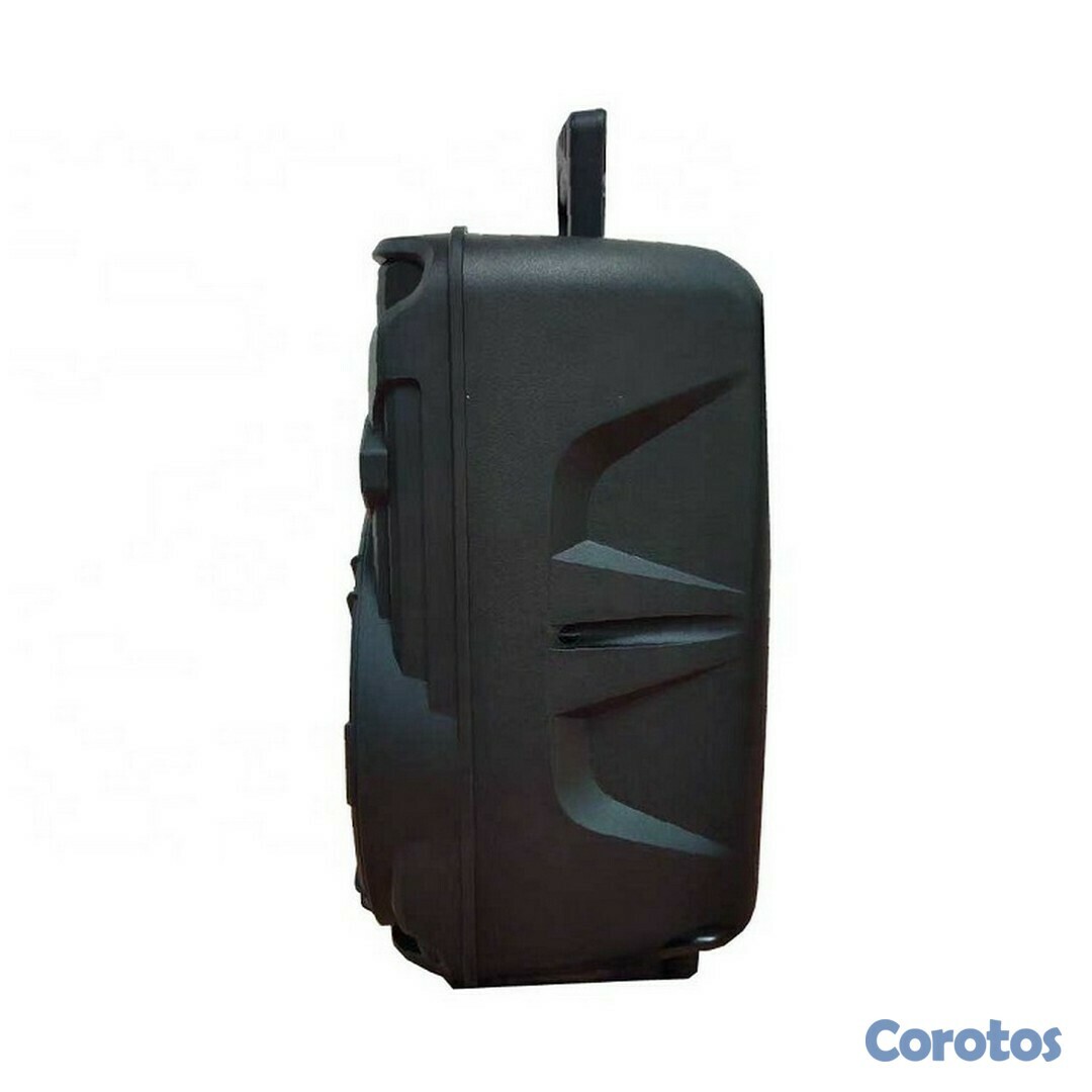 otros electronicos - Bocina portatil de 8 pulgadas con microfono KTS-1176 3