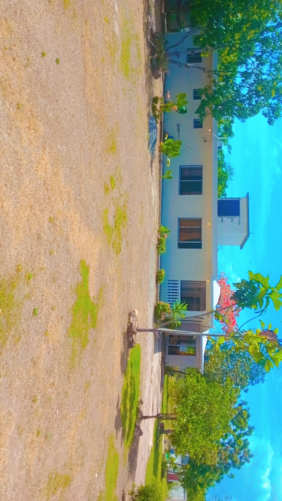 casas - Villa en Juan dolió de oportunidad  6
