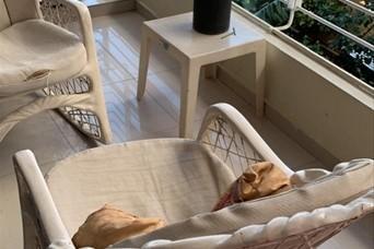 apartamentos - apartamento en alma rosa I 2