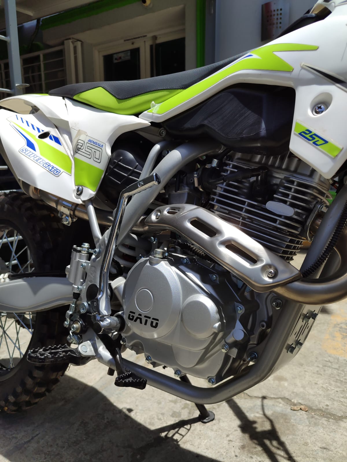 motores y pasolas - Gato bengala 250 en oferta con financiamiento 9