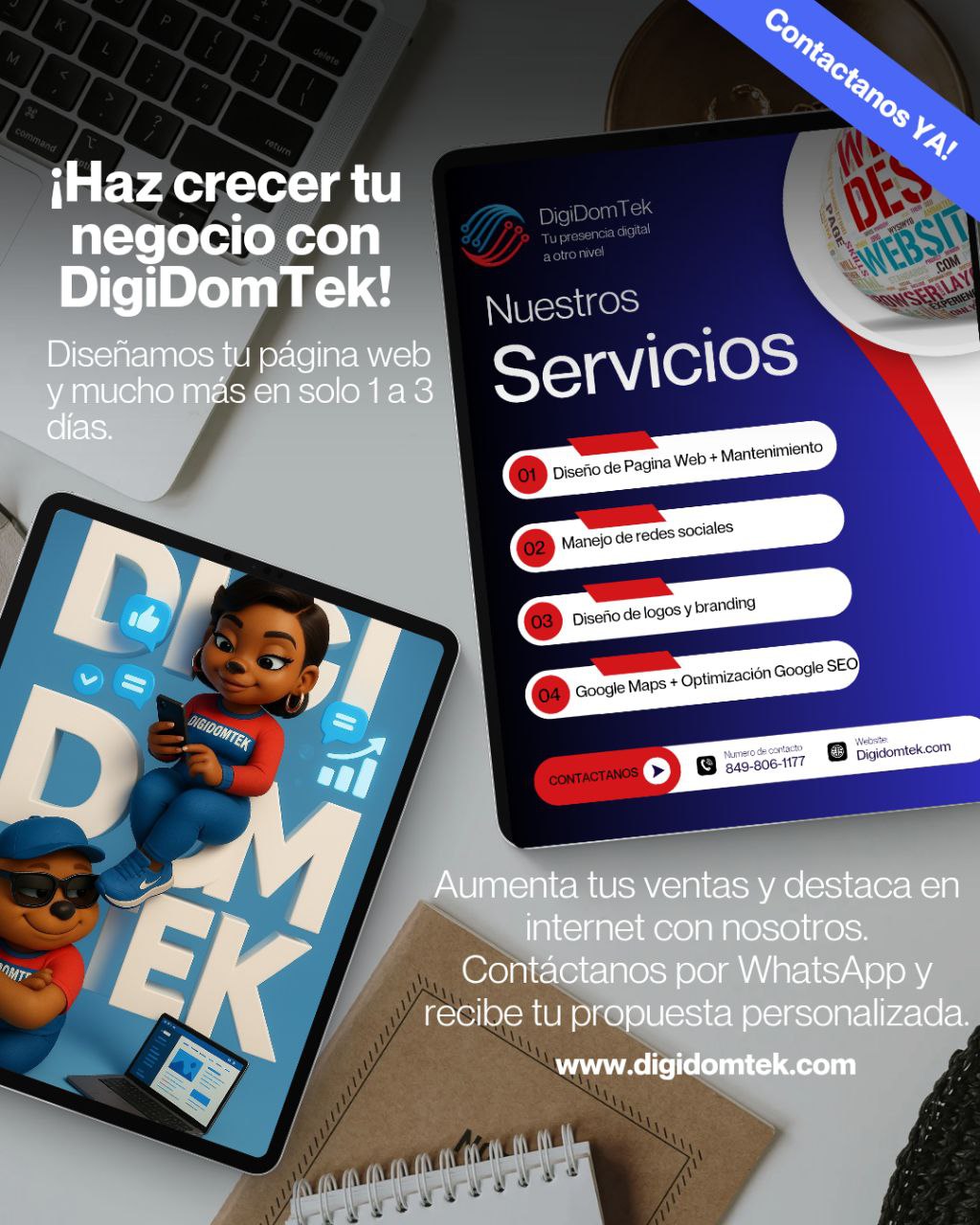 servicios profesionales - Diseño Web profecional para Negocios