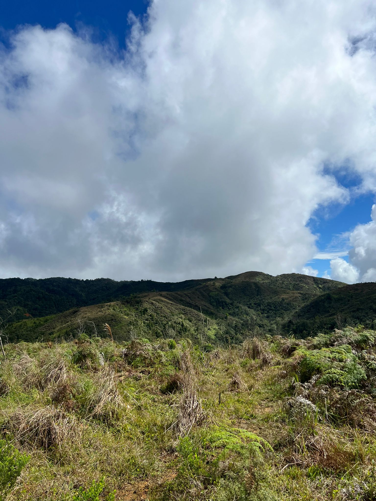 solares y terrenos - Finca en Constanza de 2795 tareas  7
