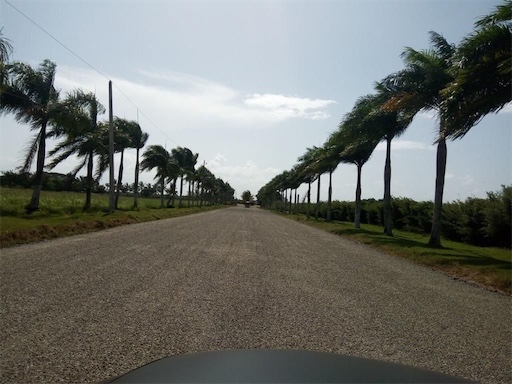 solares y terrenos - Venta de terrenos en proyecto vacacional con piscina y  lago Santo Domingo 8