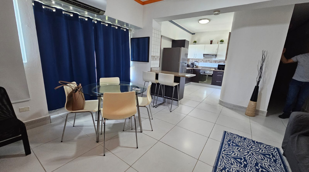 apartamentos - hermoso apartamento en Gascue  4