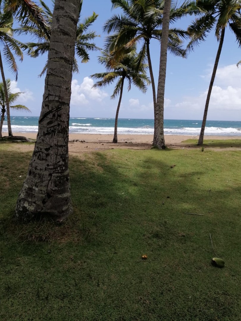 solares y terrenos - VENDEMOS SOLAR ESPECTACULAR EN LINEA DE PLAYA EN NAGUA 0