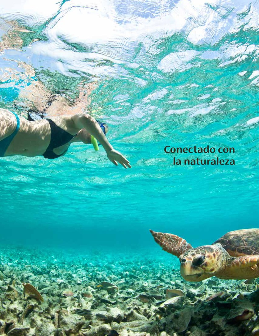 solares y terrenos - Solares Turísticos, con playa, Campo de Golf y mucho más 7