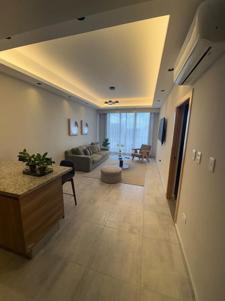 apartamentos - Apartamento amueblado de 1 hab en Evaristo Morales 1