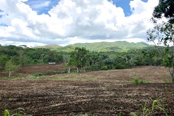 otros inmuebles - Vendo Finca en Monte Plata  6