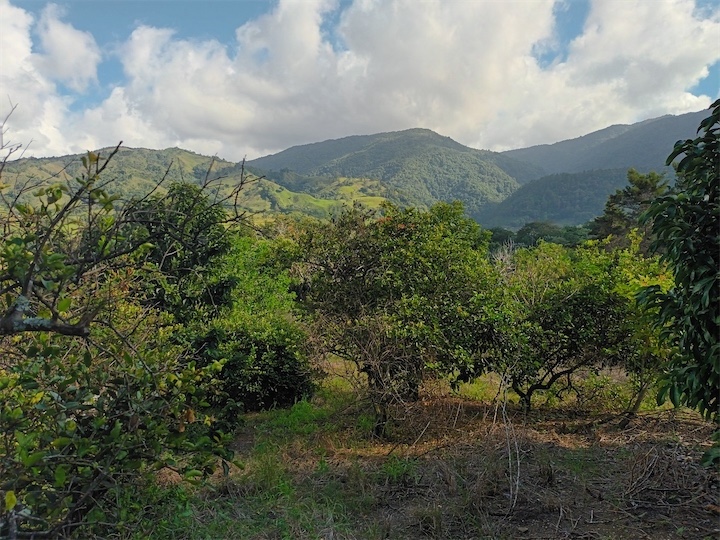 solares y terrenos - Terreno en Venta en JARABACOA 
 3