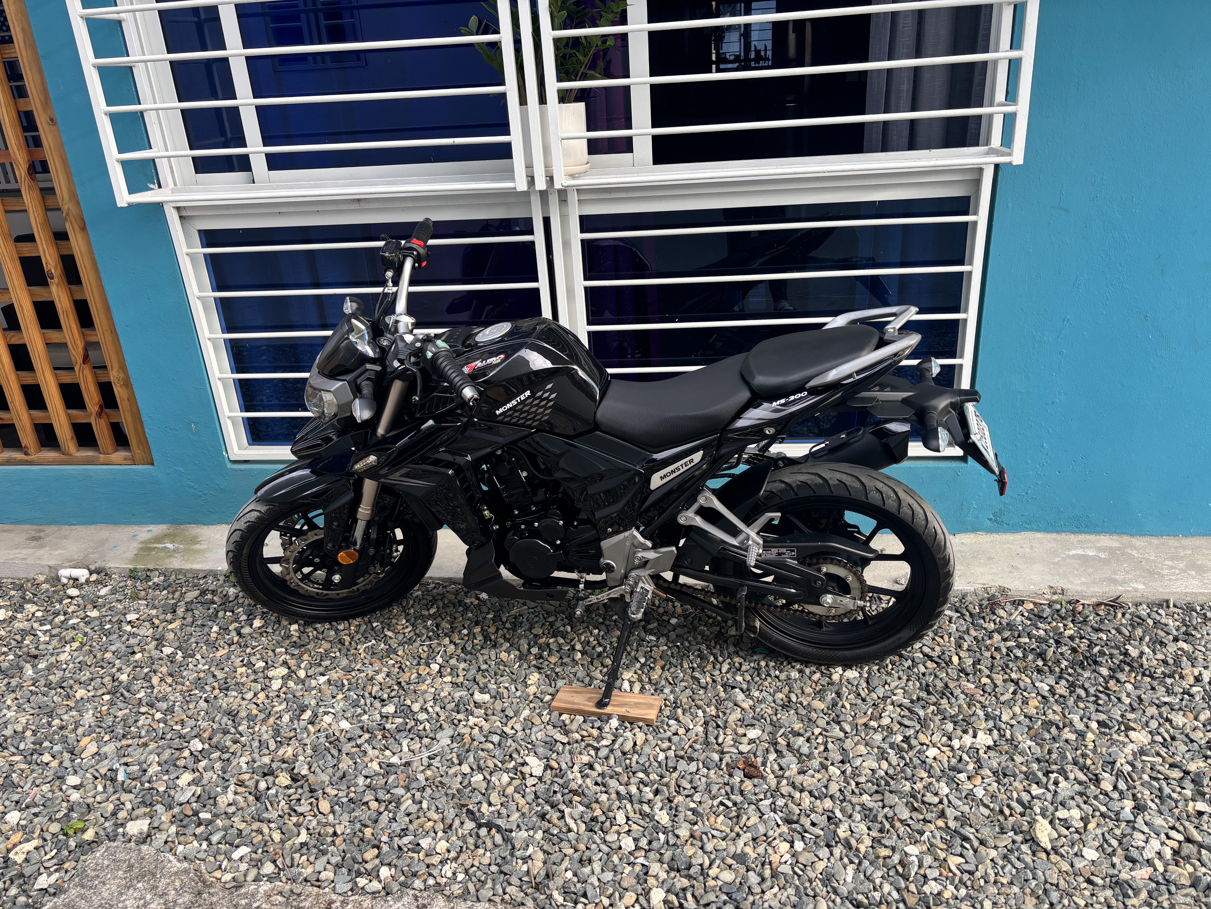 motores y pasolas - Tauro Monster 300 1