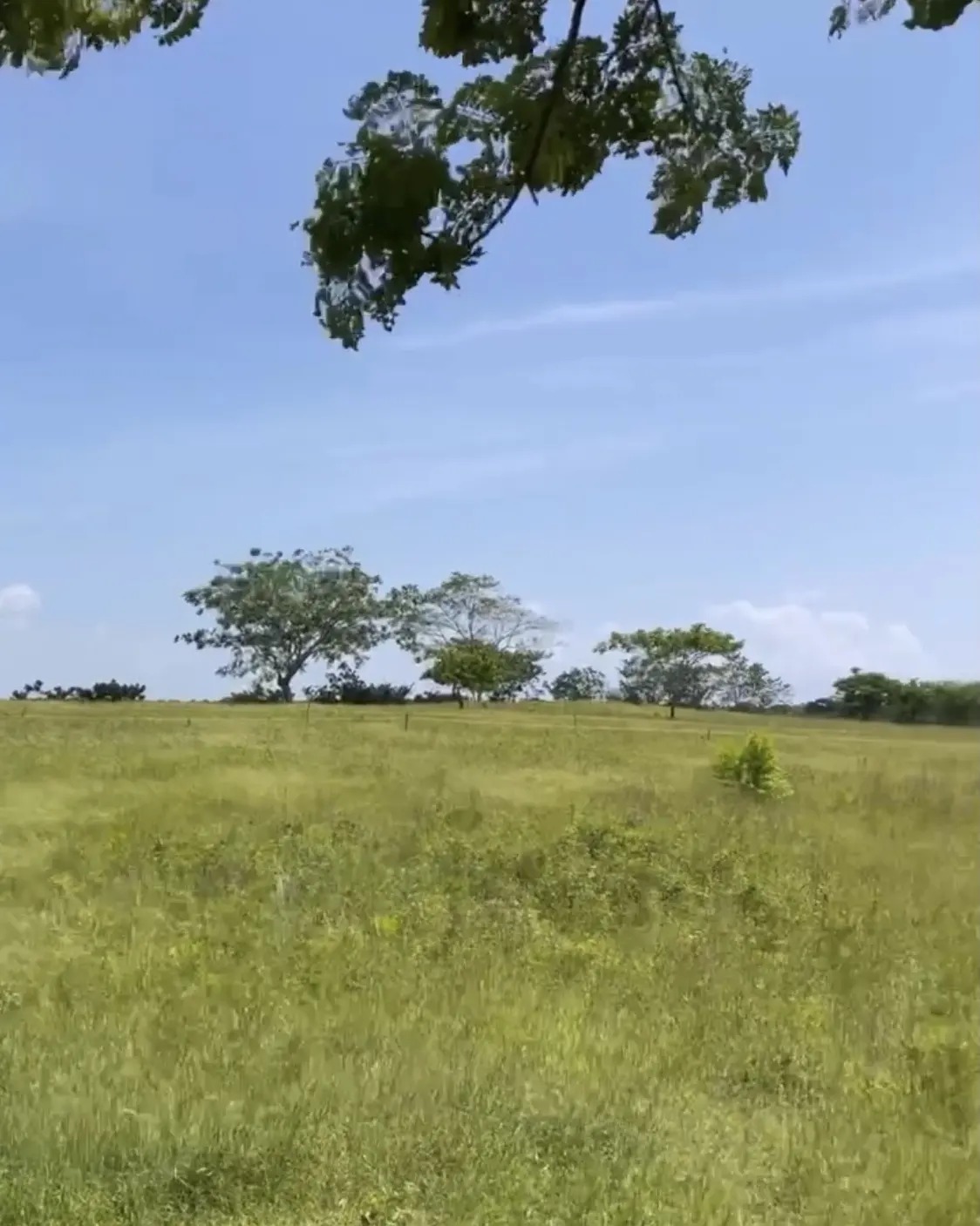 solares y terrenos - Venta de Solar ubicado en Boca Chica 6