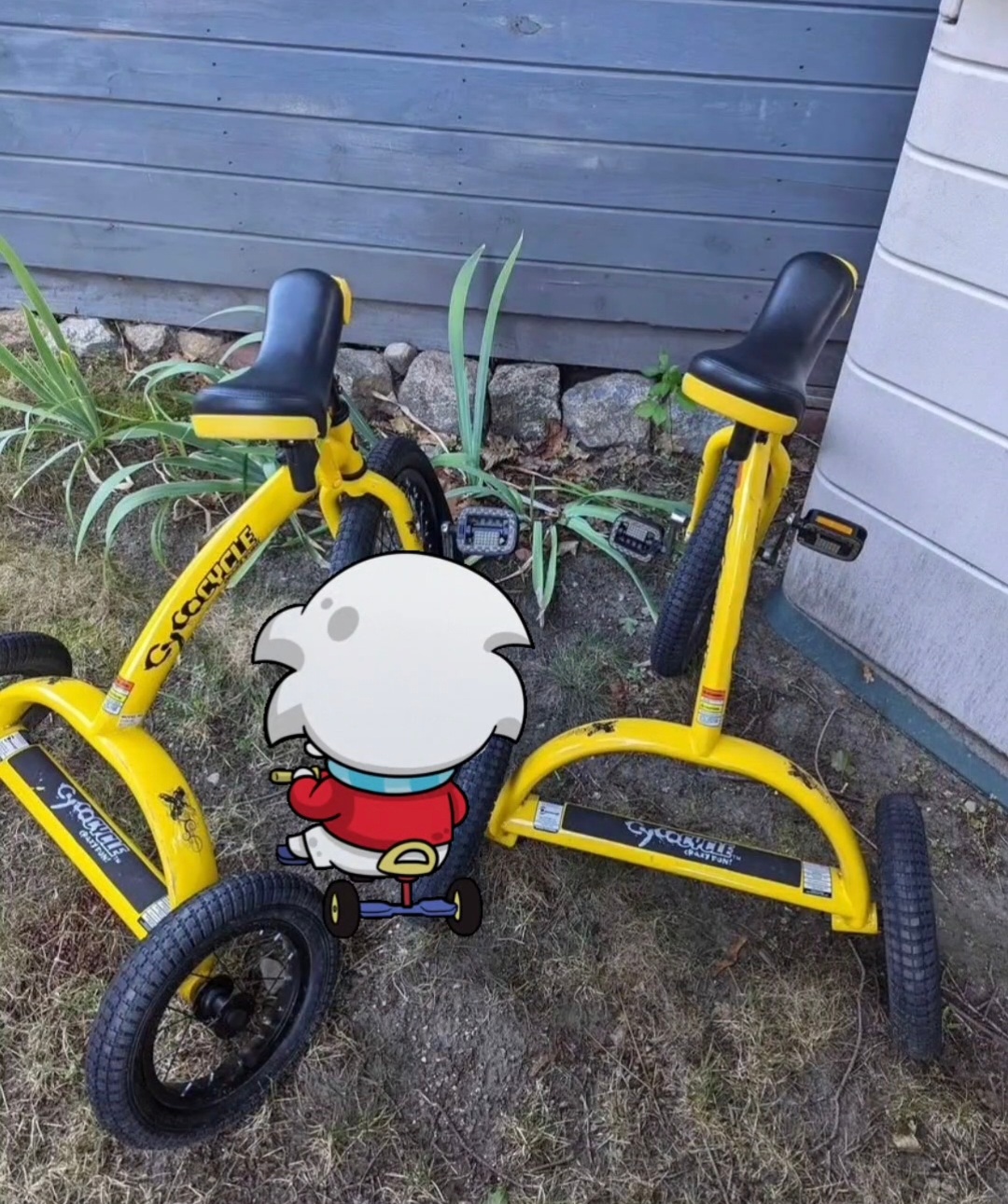 bicicletas y accesorios - Triciclo  6