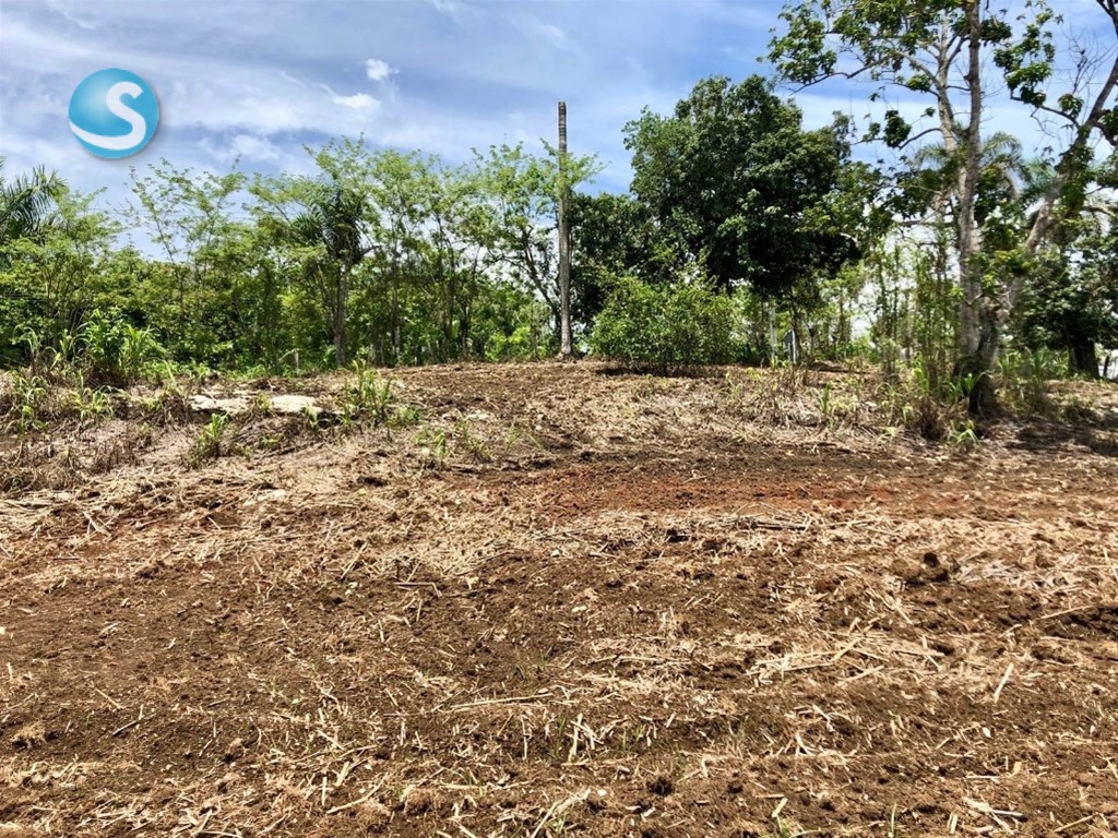 otros inmuebles - Vendo Finca en Monte Plata  7